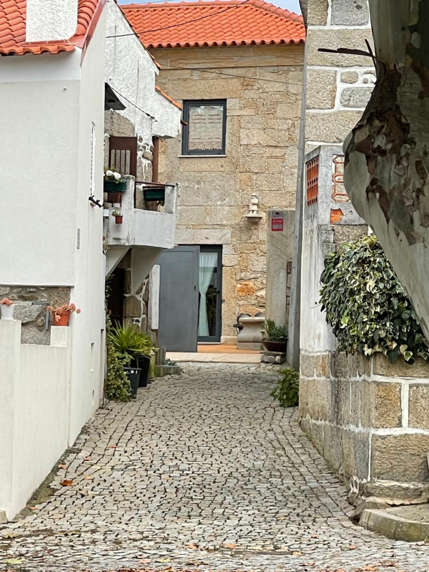 Willa Casa Professor Moutinho Vila Nova de Foz Côa Zewnętrze zdjęcie